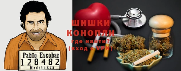 стафф Осташков
