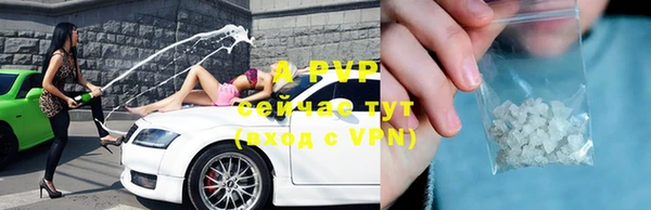 стафф Осташков