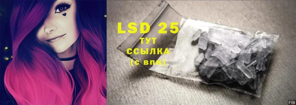 стафф Осташков