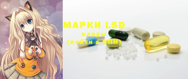 индика Дубовка