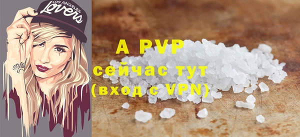 стафф Осташков