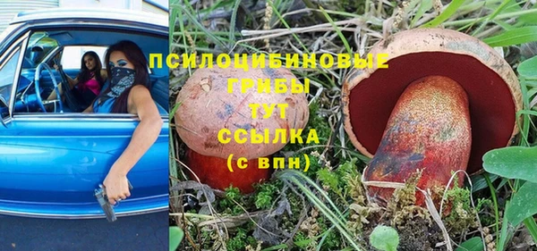 стафф Осташков