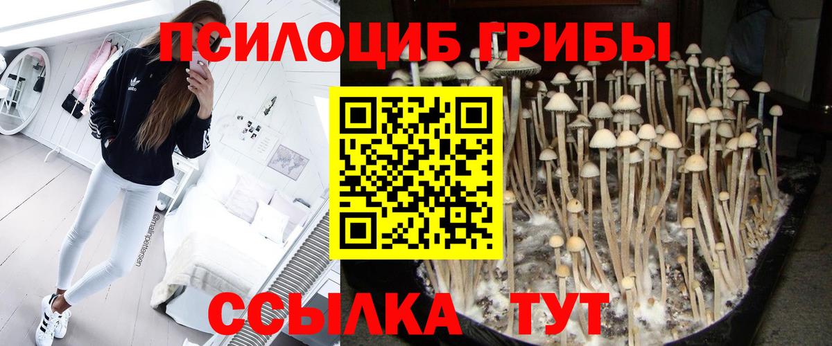 Галлюциногенные грибы ЛСД Старая Русса
