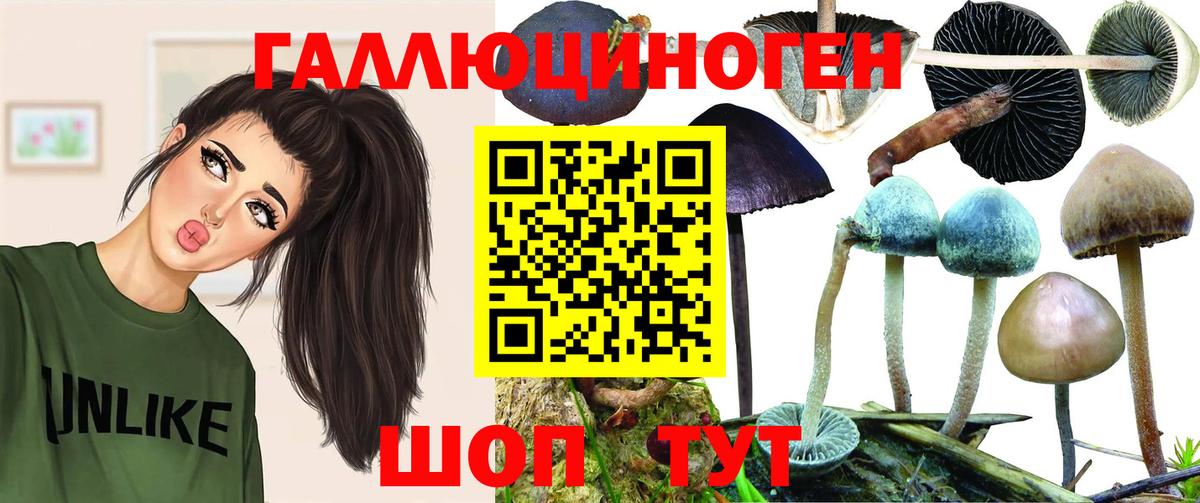 Старая Русса  закладка  Псилоцибиновые грибы Magic Shrooms  Вход с VPN  Галлюциногенные грибы Cubensis 
