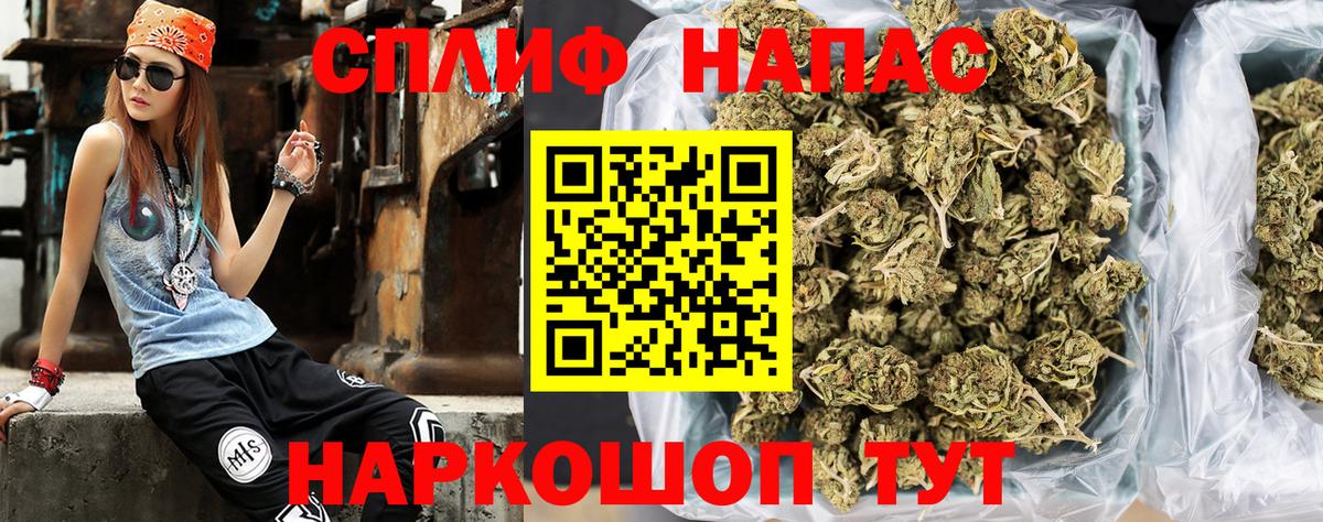 Бошки марихуана конопля Старая Русса